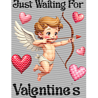 Valentine's Day-QRJ 7900